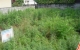 高知不動産情報-売土地
